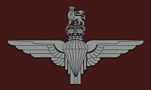 Parachute Regiment Flag - Bespoke Emerald Embroidery Ltd